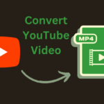 YouTube Video Download MP4: Top 5 Go-To Sites