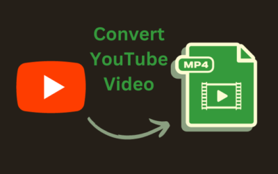 YouTube Video Download MP4: Top 5 Go-To Sites